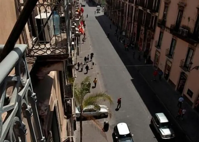 Alojamento de Acomodação e Pequeno-almoço Alba 3*